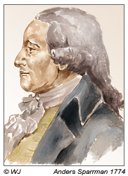 Anders Sparrmann 1774