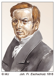 John Friedrich Eschscholtz 1816, Naturforscher und Entoologe unter Otto von Kotzebue
