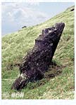 Der Moai Re-carved - ein nach gearbeiteter Moai?