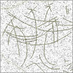 Petroglyphen - Striche am Hanga Piko