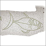 Petroglyphe - Fischmotiv Ava O Kiri