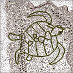 Petroglyphe - Schildkröte am Tongariki - Papa Tataku Poki