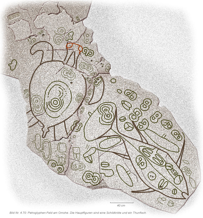 Petroglyphen bei Omohe - Nordküste der Osterinsel