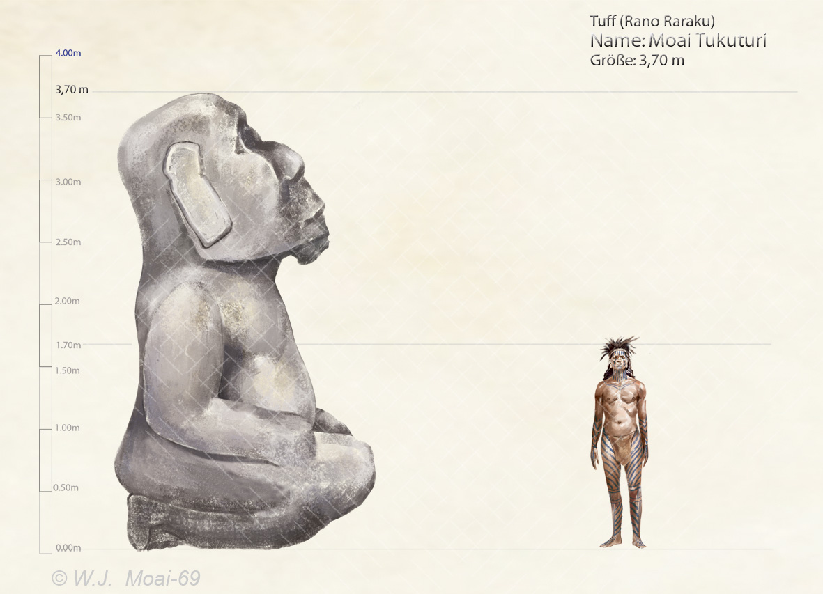 Bild Moai-69