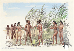 Bild 080: Rapanui beim Ernten von Zuckerrohr