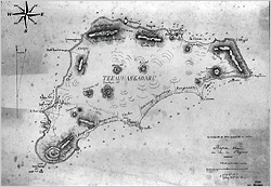 Karte 1872 - La Flore