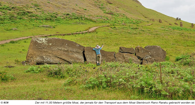 der mit 11 Metern größte Moai, der jemals aus dem Moai-Steinbruch Rano Raraku gebracht worden ist