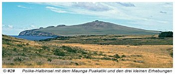 Berg Maunga Puakatiki
