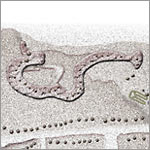 Die Petroglyphe eines Seeaals wird ebenfalls mit einem aku-aku Geist in Verbindung gebracht
